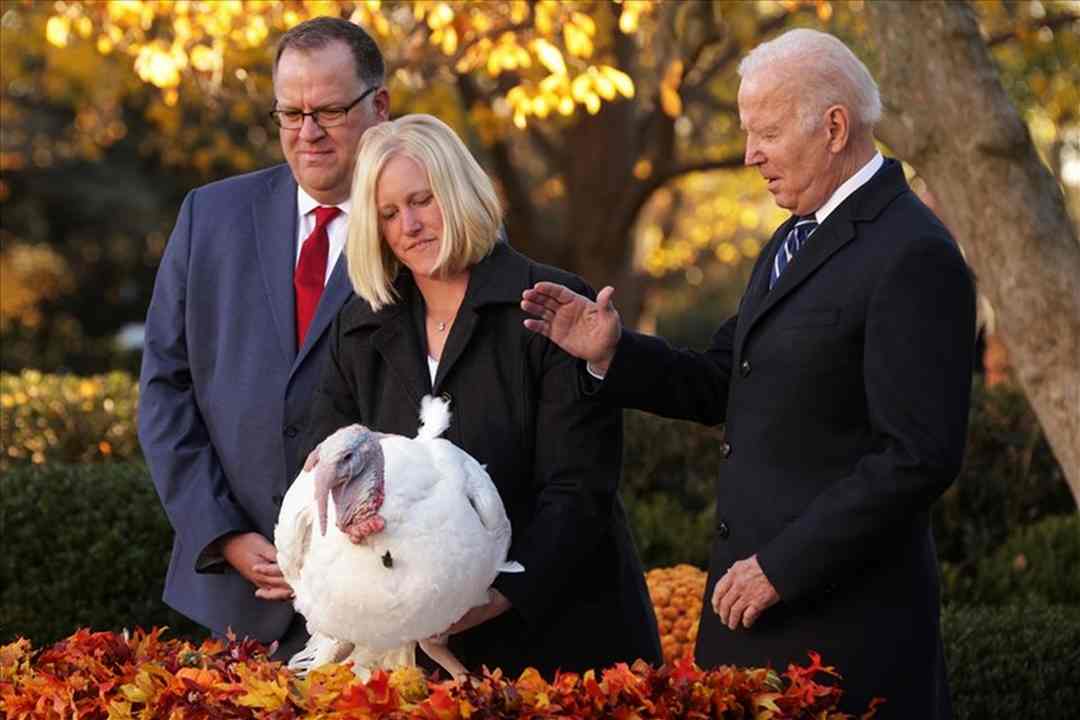 Tổng thống Joe Biden ân xá cho chú gà tây