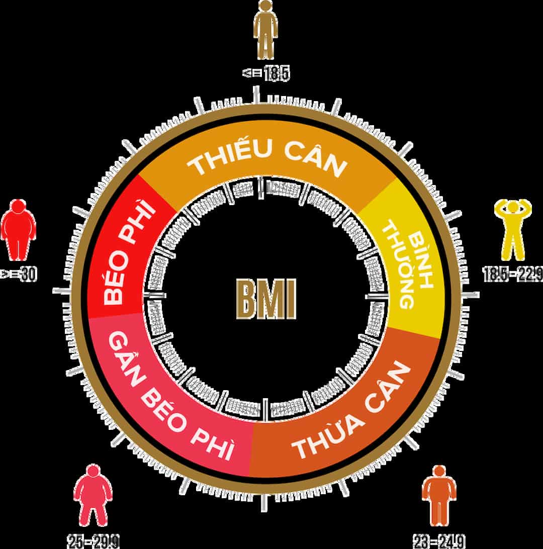 Chỉ số BMI là gì?