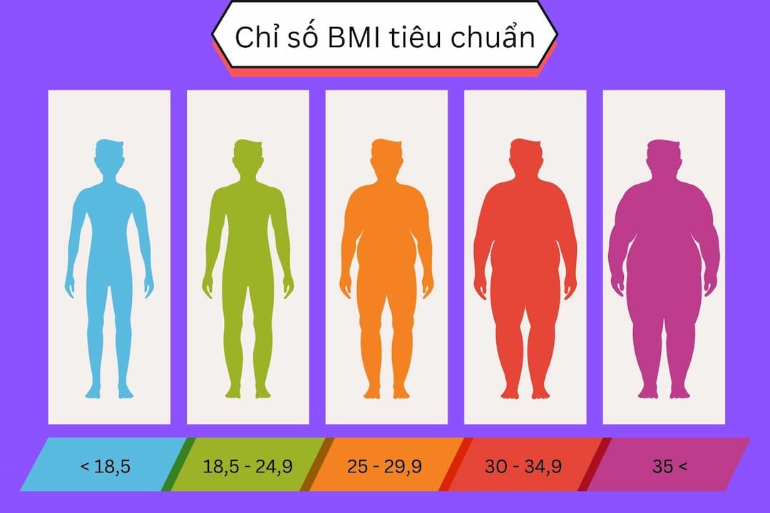 Chỉ số BMI tỷ lệ thuận với lượng chất béo trong cơ thể