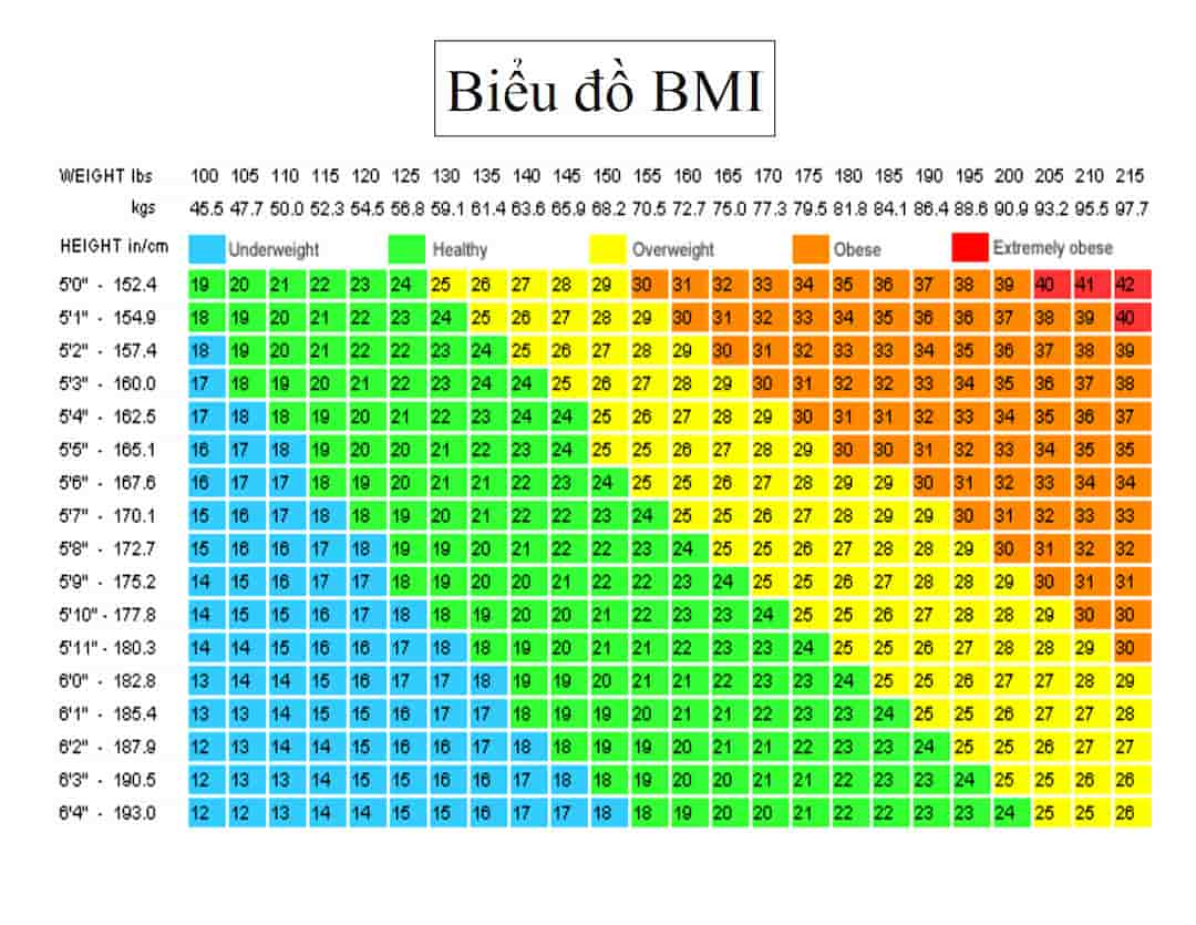 Công thức tính BMI 