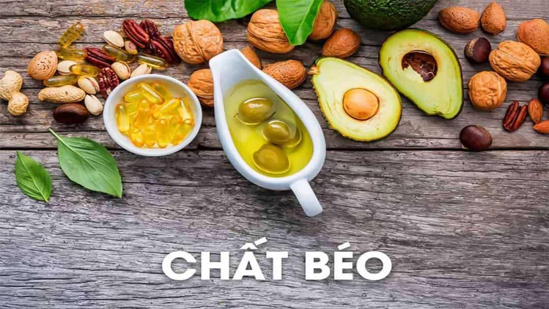 Có bốn loại chất béo chính