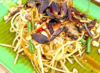 Tìm Hiểu Ý Nghĩa Của Món Gỏi Đu Đủ – Khám Phá Vị Đậm Đà Những loại thực phẩm dùng để làm Gỏi Đu Đủ